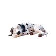 Sleeping Dalmation Stickers