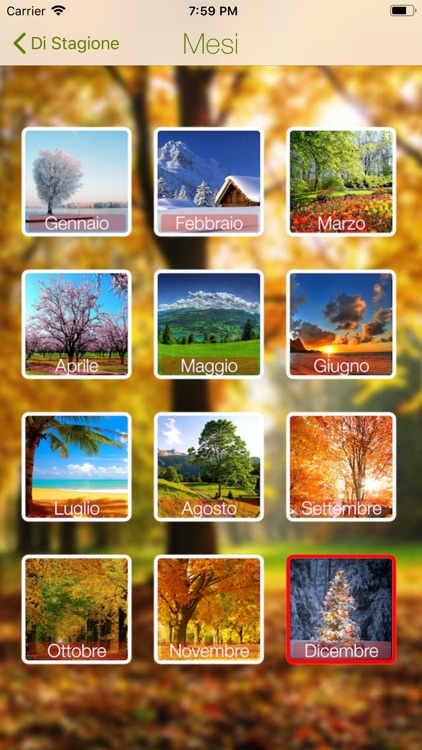 Di Stagione - Frutta e Verdura screenshot-3