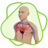 CloudLabs Circulatory system icon