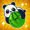Watermelon Game: Panda Merge icon