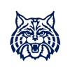 Wilmington Wildcats Athletics icon