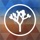 Joshua Tree Offline Guide
