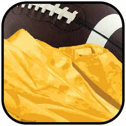 Penalty Assistant app icon