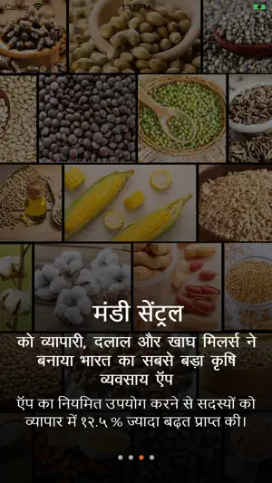 Mandi Central screenshot 3