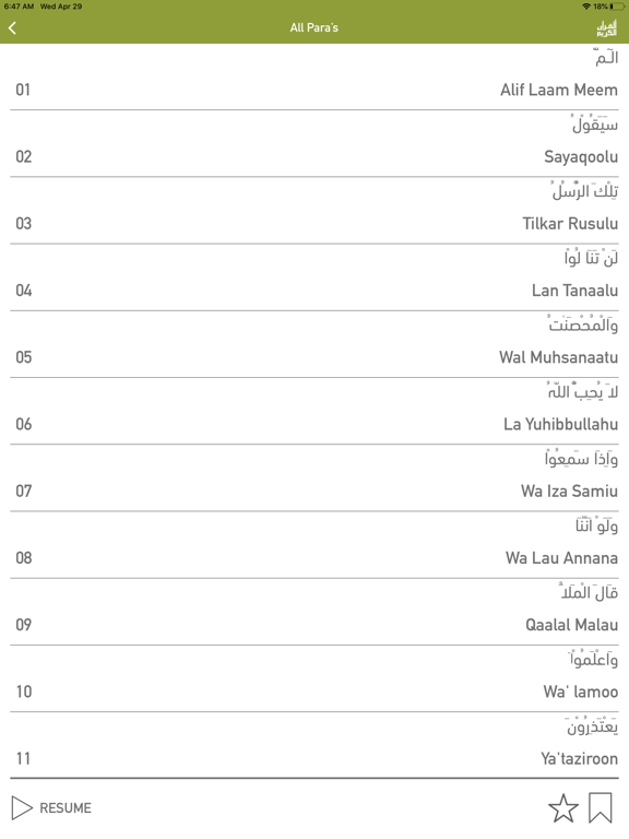 Screenshot #6 pour Quraan-E-Karim (15 Lines)