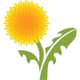 LearningHerbs - Icona app