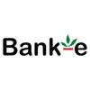 Similar Bank-e Apps