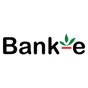 Bank-e app download