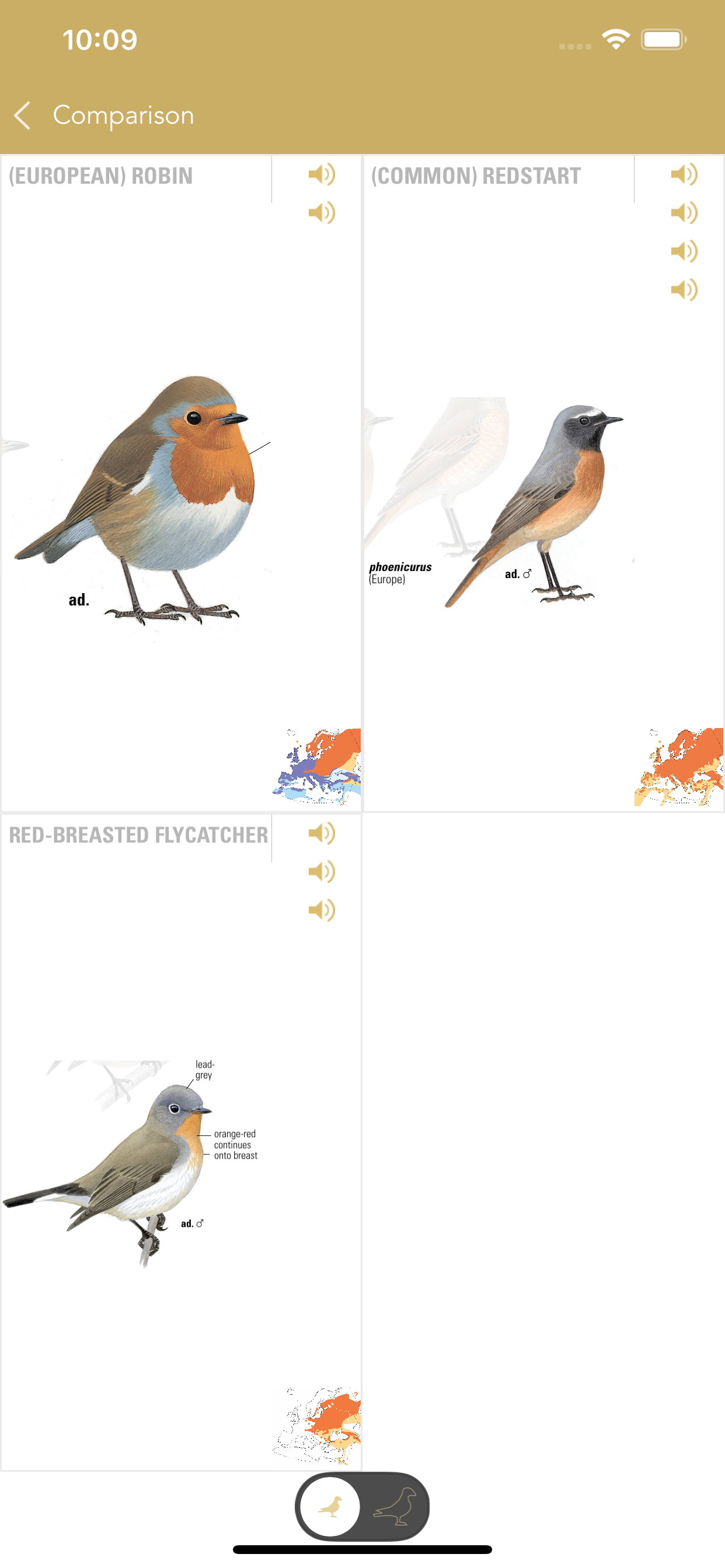 Collins British Bird Guide