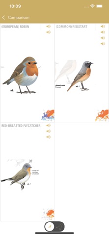 Collins British Bird Guide Screenshot 4 of 4