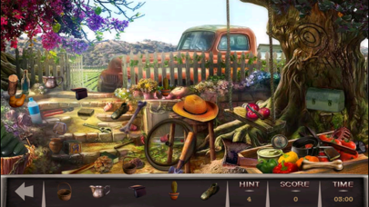 Courageous David Hidden Object Screenshot 4 of 5
