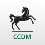 Lloyds Bank CCDM App Contact