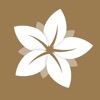 MusesAcademy: Daily Growth