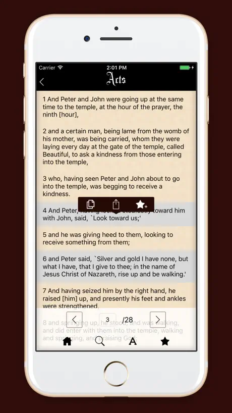 Literal Translation Holy Bible