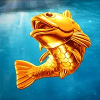 Aqua Dex
