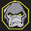 Evolucao Thai Keller MMA icon