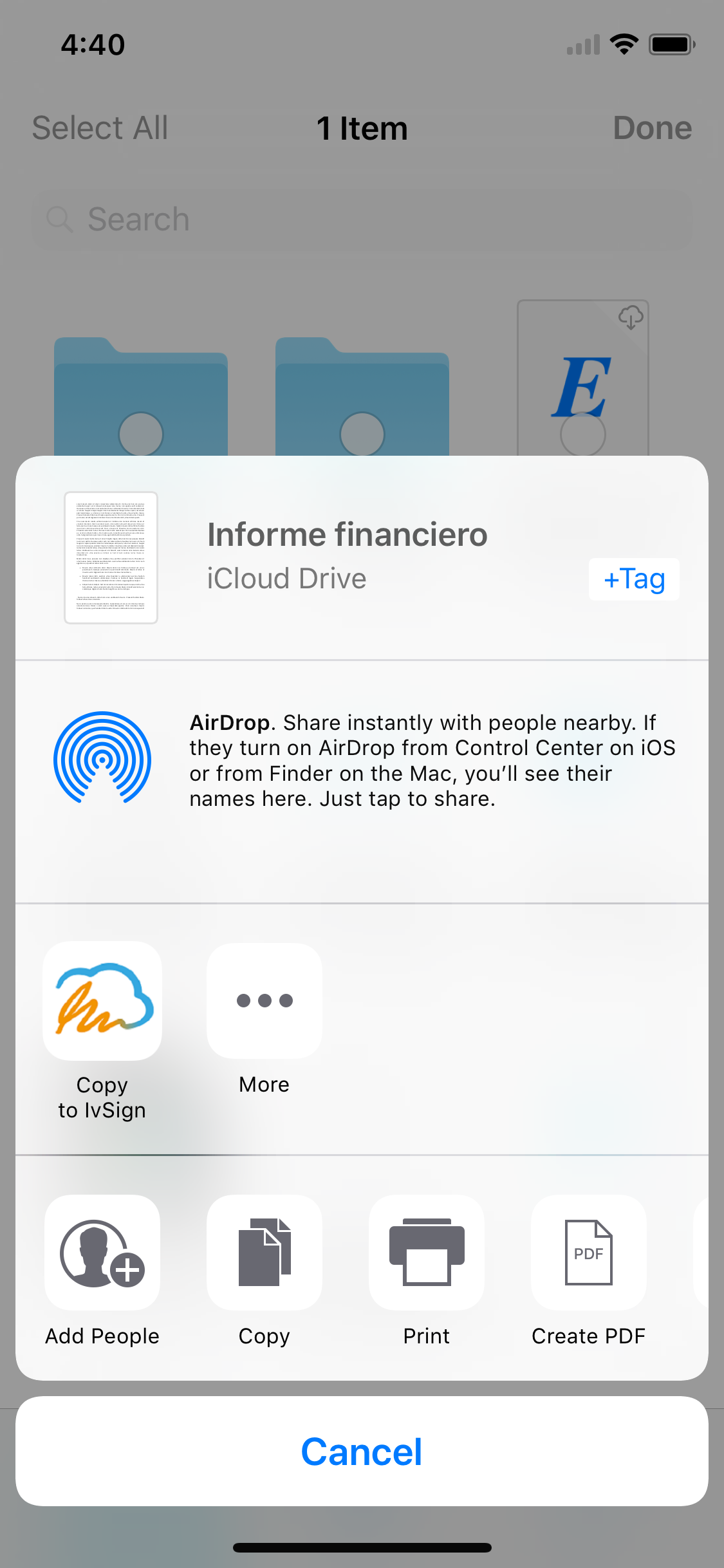 IvSign screenshot 4