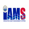 IAMS icon