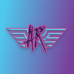 Aerial Raider