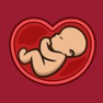 Get Baby Kick Counter & Timer for iOS, iPhone, iPad Aso Report