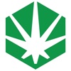 Thrive Rewards icon