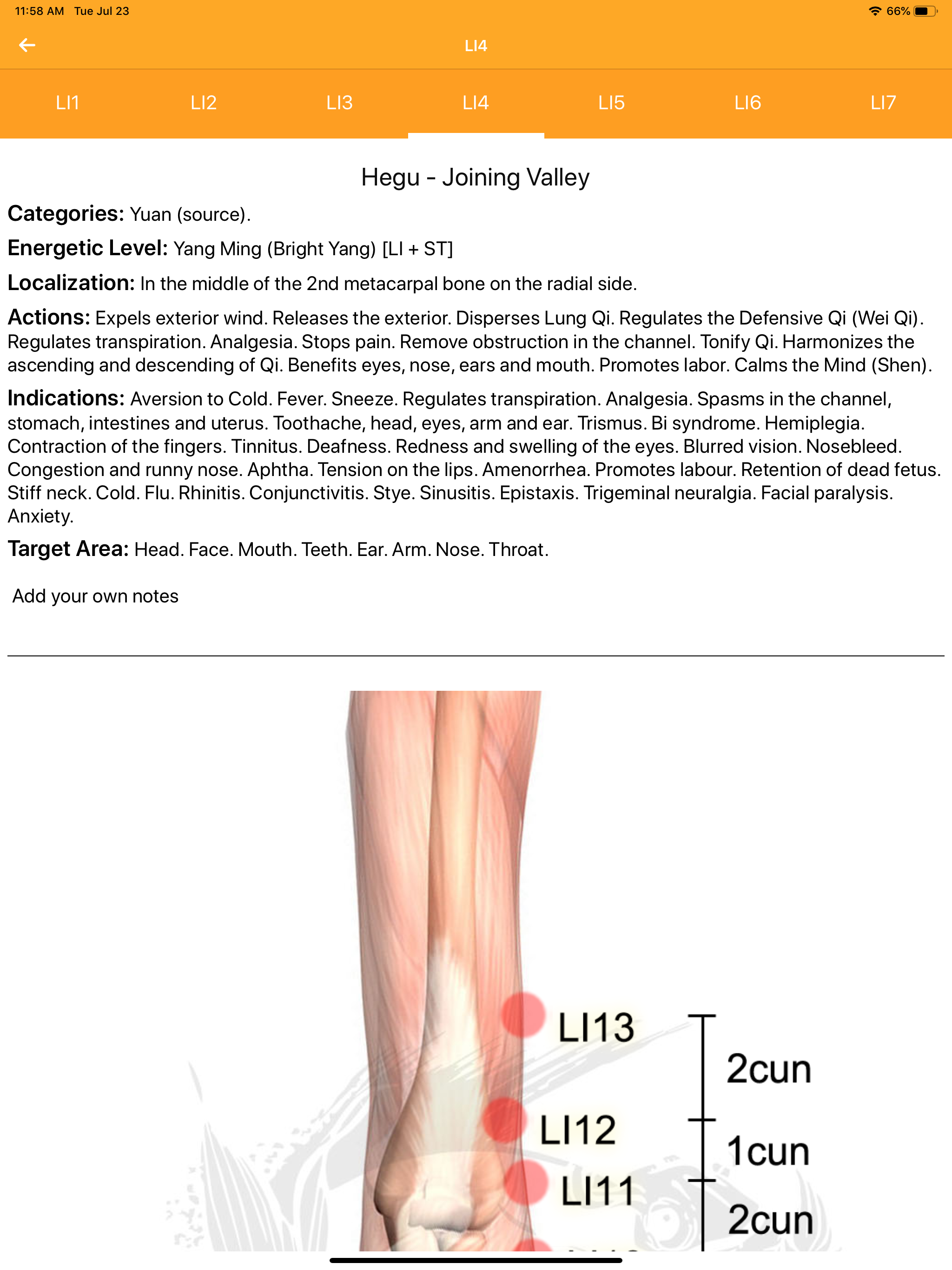 Acupuncture Assistant