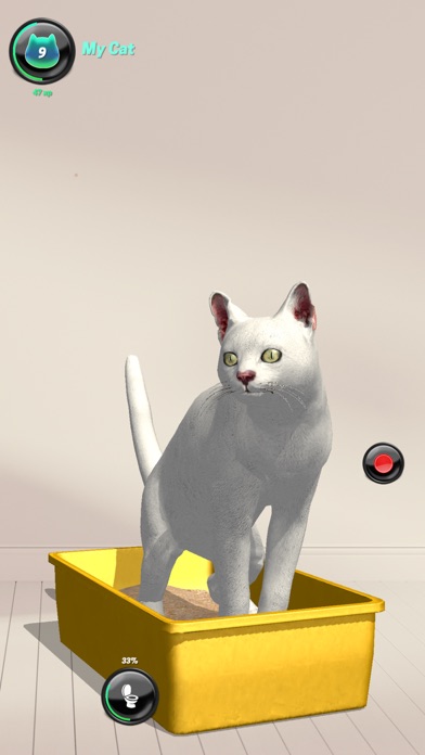 My Cat AR: Real Cat Simulator Screenshot