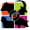 BenguFarm Mobile - Tim Pauw