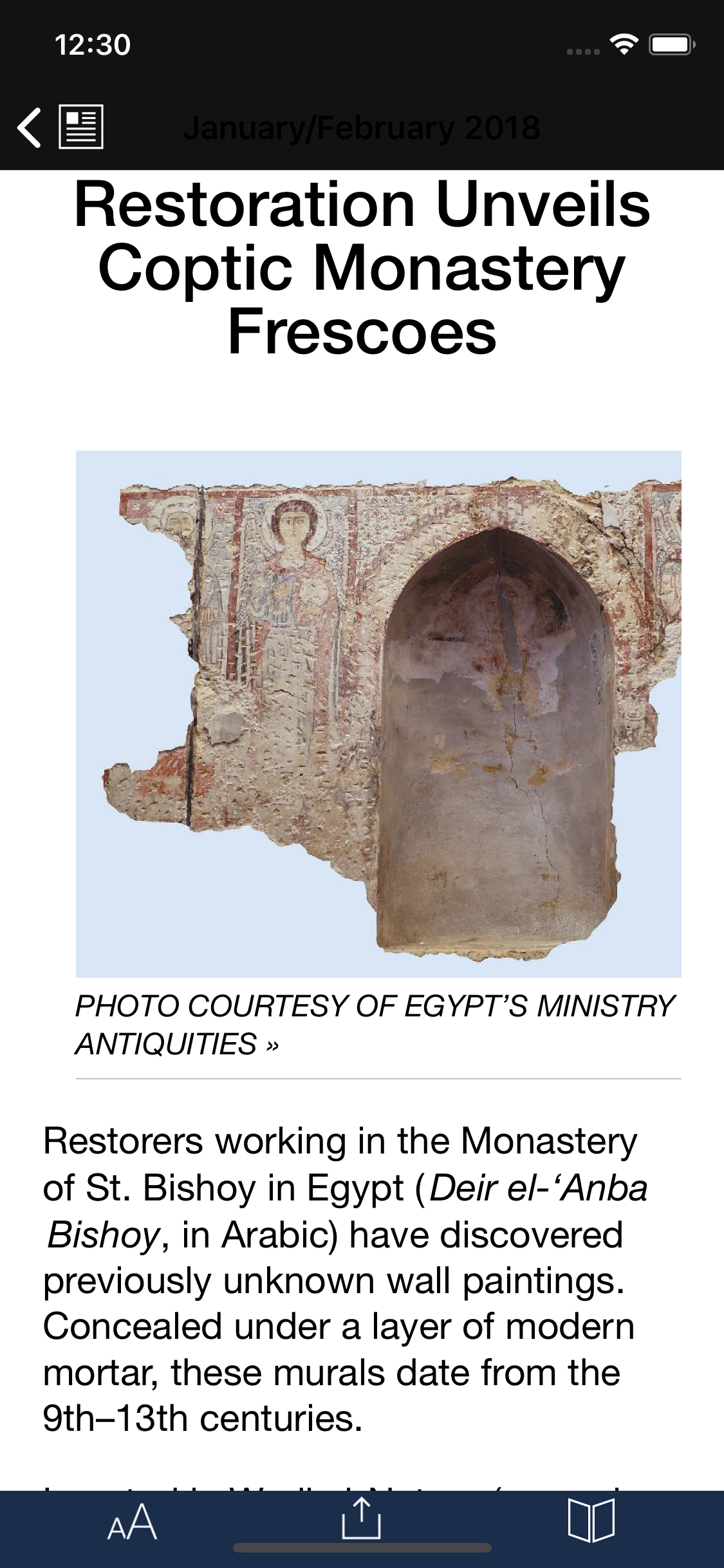 Biblical Archaeology Review screenshot 6
