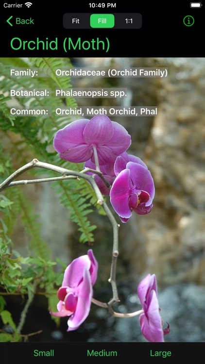 Flower Ref screenshot-6