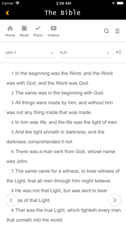 Fellowship of Enlightenment screenshot-3