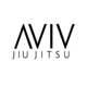 AVIV Jiu Jitsu