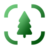 Tree Identifier - AI Scanner - Chris Wakefield