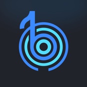 Voxvibe Offline Music Player