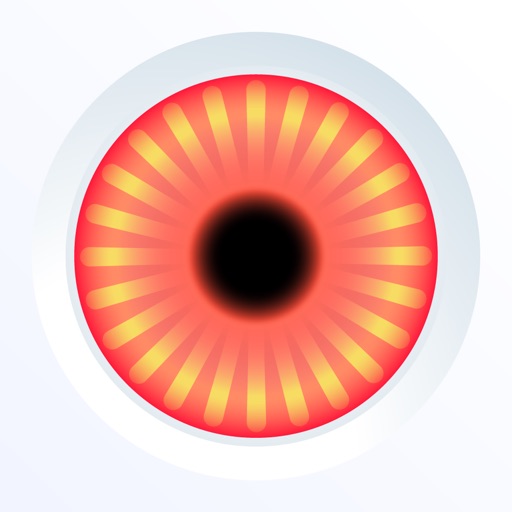 Sentry DashCam for Teslas