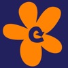 Refresh Connections icon