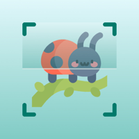 Bug Identifier AI Bug Finder