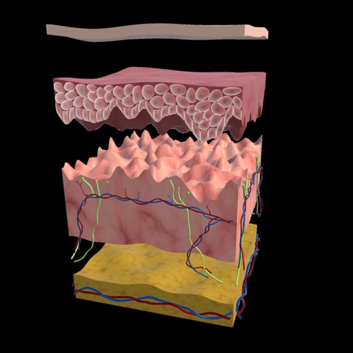 Shaping the Future of NMSC