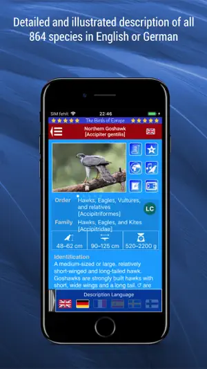 Birds of Europe screenshot 3