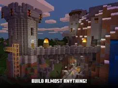 Minecraft: Play with Friends! iPad image 2