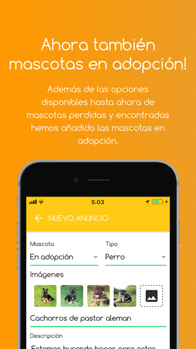 Wizapet screenshot