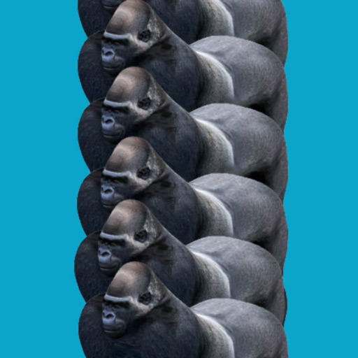 プルプルゴリラタワー