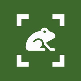 SUMO