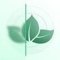 Botanica ID - Plant Identifier app download