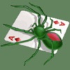 Spider Solitaire -- Lite icon