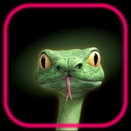Snake Puzzle Game - Snakle