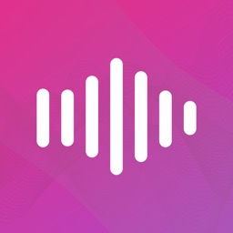 Metavoicer: AI Voice Generator