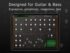 Roxsyn Guitar Synthesizer iPad image 2