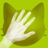 摸空气猫AirPet icon