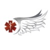 Survival Flight Operations icon